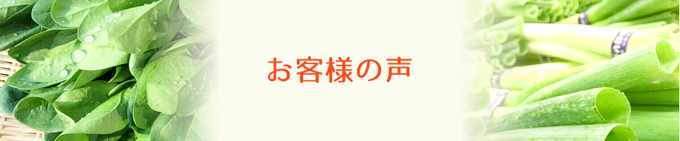 お客様の声